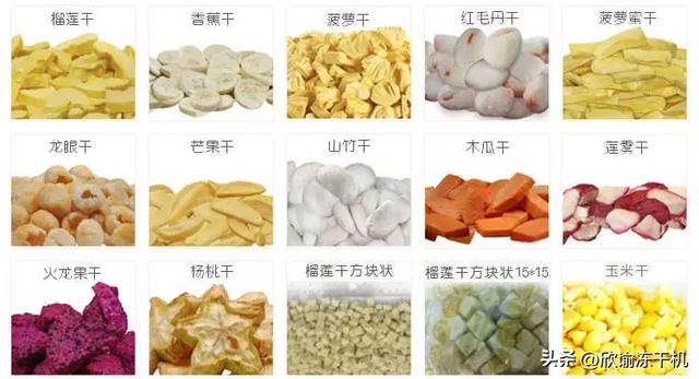真空冷冻干燥可以和其他行业技术结合