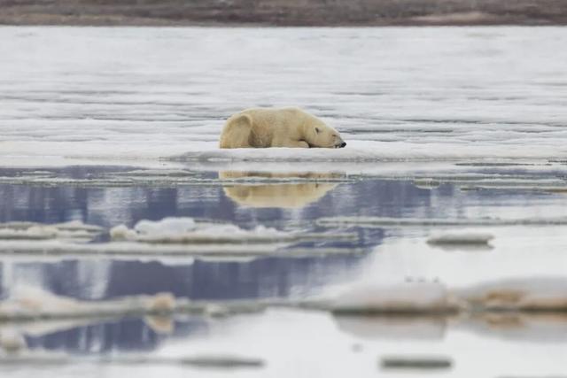 2026.7.7集结！穿越北极三岛、北欧两国，37天深入地球最北端！