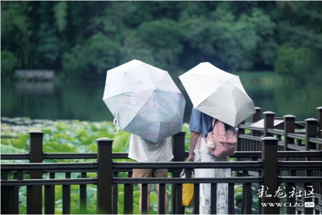 水墨丹青普者黑 荷风烟雨画中游