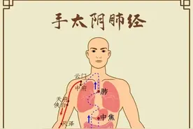 值得收藏！人体12经络简明路径图图片