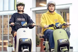 预算3000左右，3款大牌电动车闭眼入，骑8-10年，电摩、电自都有图片