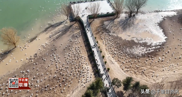 新春出游热 观鸟采摘享假期