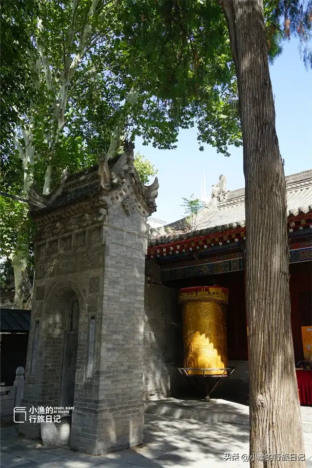 西安面积最大的免费古寺，地处闹市，幽深静谧！秋色正浓