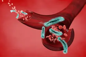 血管年轻，一身轻松，3个中成药 ，养护血管，预防心脑疾病！图片