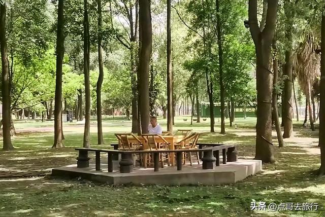 成都超级冷门公园，绿肺中的烟火成都，不要门票，1元公交直达！