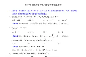 2024年新高考I卷数学试题逐题解析图片