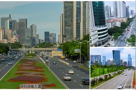 再议西安高新至鄠邑高速复合通道:全线高架能否延续西沣路之辉煌图片