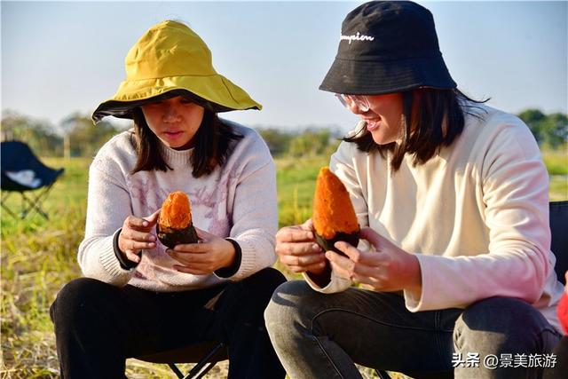 五一假期去哪儿？佛山紫南首届农耕文化节邀您共赴田园之约