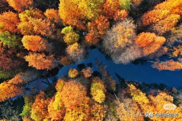 冬日信阳，独具魅力！