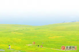 逛逛巷道集市，去采摘雪菊，体验摩托车越野赛…… 这个周末在乌鲁木齐来场不一样的出游图片