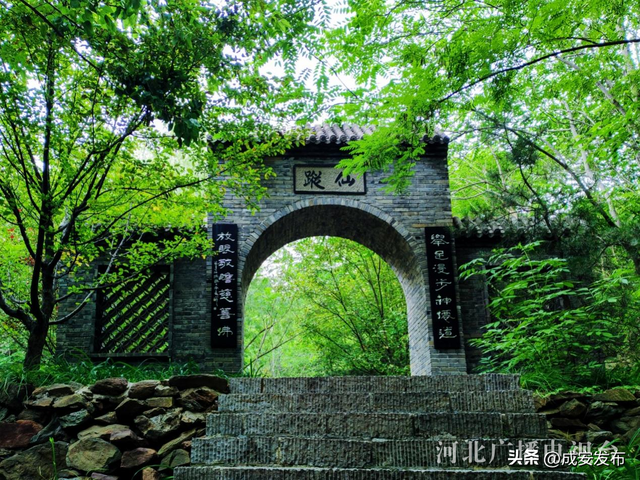 【河北“凉”策——解码夏日清凉经济热效应】沉浸式体验河北避暑N种方式