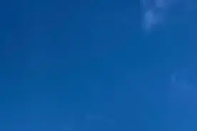 真的搞不懂上厕所不冲的人是怎么想的？图片