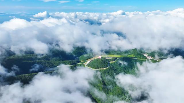 上新！龙头山【云漫花境&龙腾阁】正式开放！