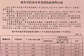 一次性补交如何选择？城乡居民养老保险低档好还是高档好？图片