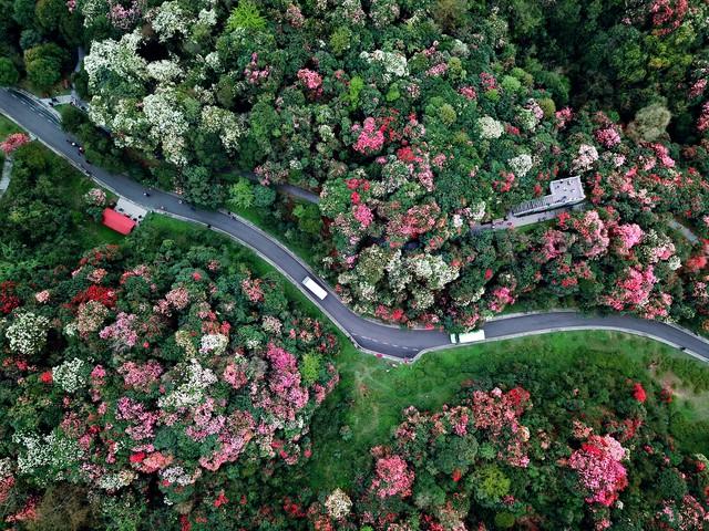 贵州10大自然景点和10大人文景点，去过10个算合格，你去过几个？