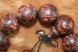 全球仅此1根！上海价值2亿的黄花梨，可能贵在这“四个字”上图片