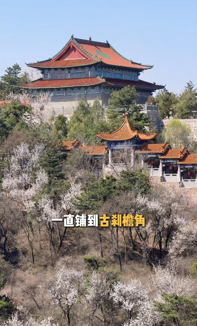 炸裂！长治屯留老爷山桃花海霸屏，春日限定浪漫谁懂啊！