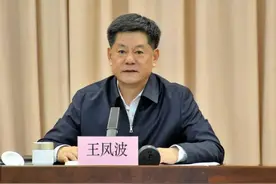 首次披露，王凤波、严喜鹤已被查图片