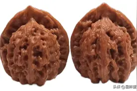 文玩核桃之官帽类图片