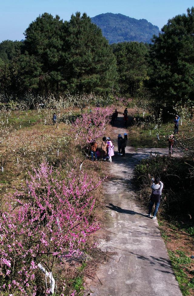 江津关胜：岁月沉淀的土地