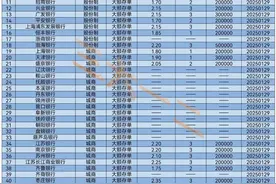 2025年2月各银行大额存单利率汇总表（第27期）发布～图片