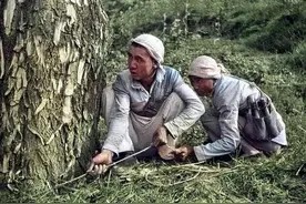 讲讲敌后战场的地雷战和“自动感应地雷”图片