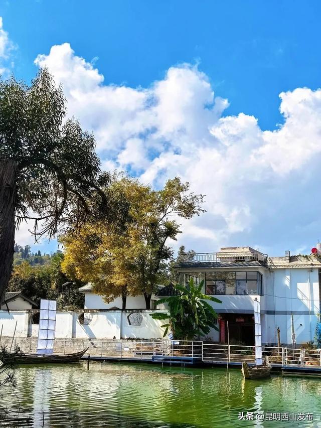 寻鸥潮玩！海口小渔村码头观鸥集市开市啦！