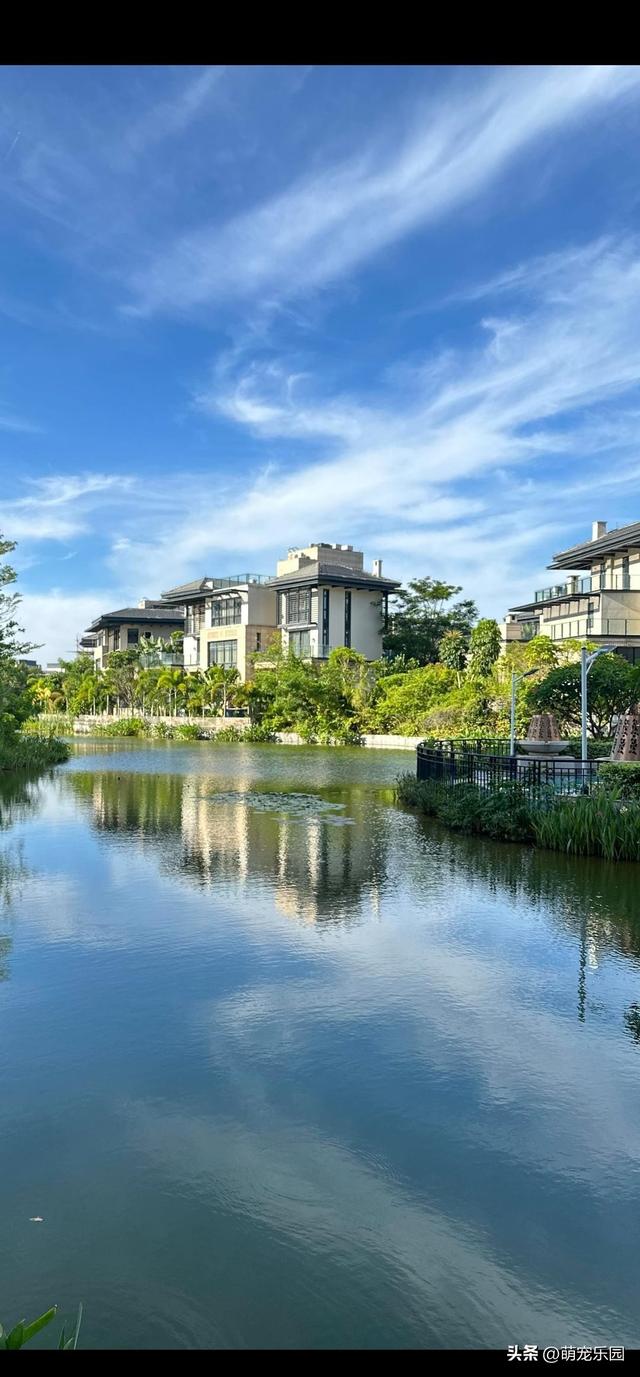 山顶古松傲然挺立，云雾缭绕如仙境，我竟品尝到超然物外的滋味