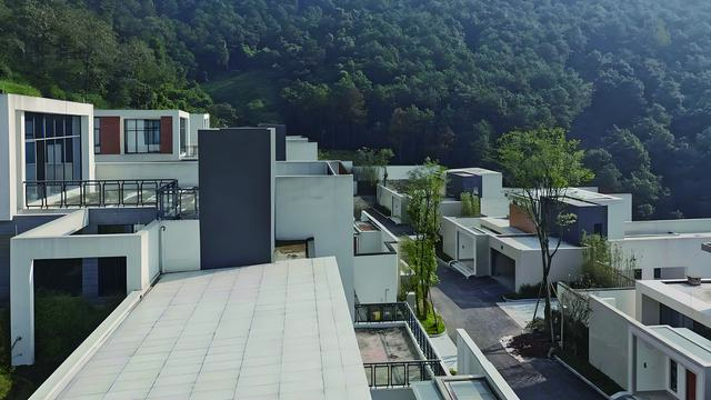 2025重庆十大最贵小区：香樟林别墅、棕榈泉国际花园、龙湖蓝湖郡