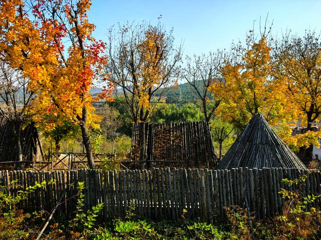 小雪｜冬意初临时，风物成画，岁月如诗
