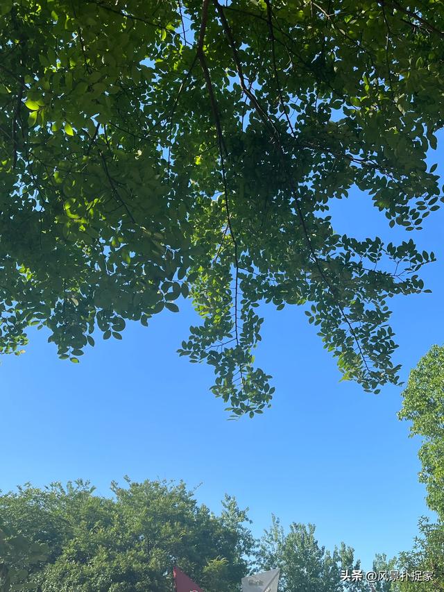 南昌凤凰洲公园，20块坐网红小火车！
