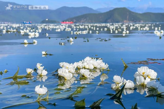 比昆明人少，比大理惬意，5月开始将变成中国夏日最仙的地方！