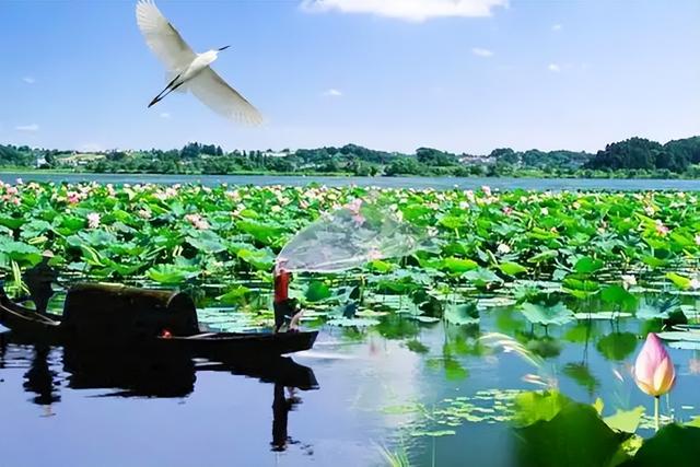 湖北“拼凑出来”的县级市，由荆州代管，号称湖北版“小江南”