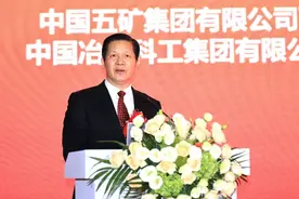 陈建光：中国中冶将与战略合作伙伴共谋全球广阔市场图片