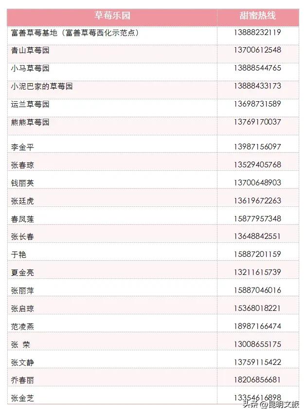 别再问昆明哪里能摘草莓了!收下这份采摘地图,直接抄作业→