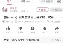 频频登上视频平台热门榜单 年轻人为何借猫说心头事图片