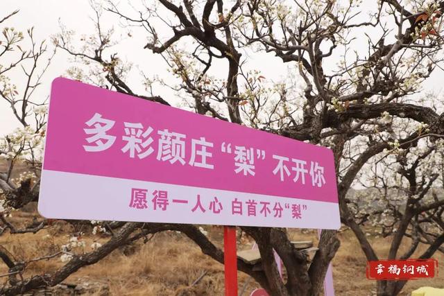 济南周边游|钢城区赏花地图上线啦，这三条旅游线路超有看头！