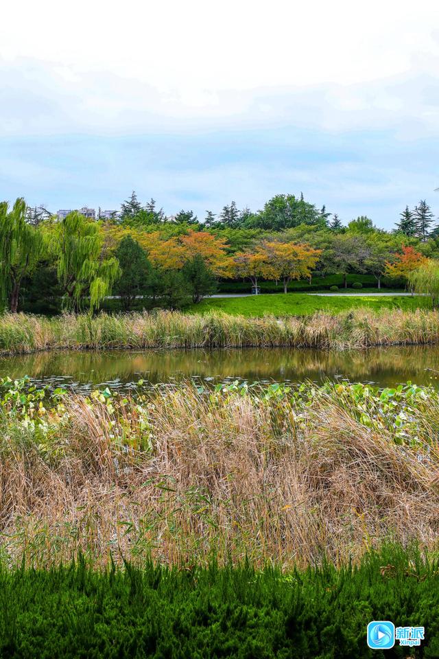 浞景无边，快乐亦无边~