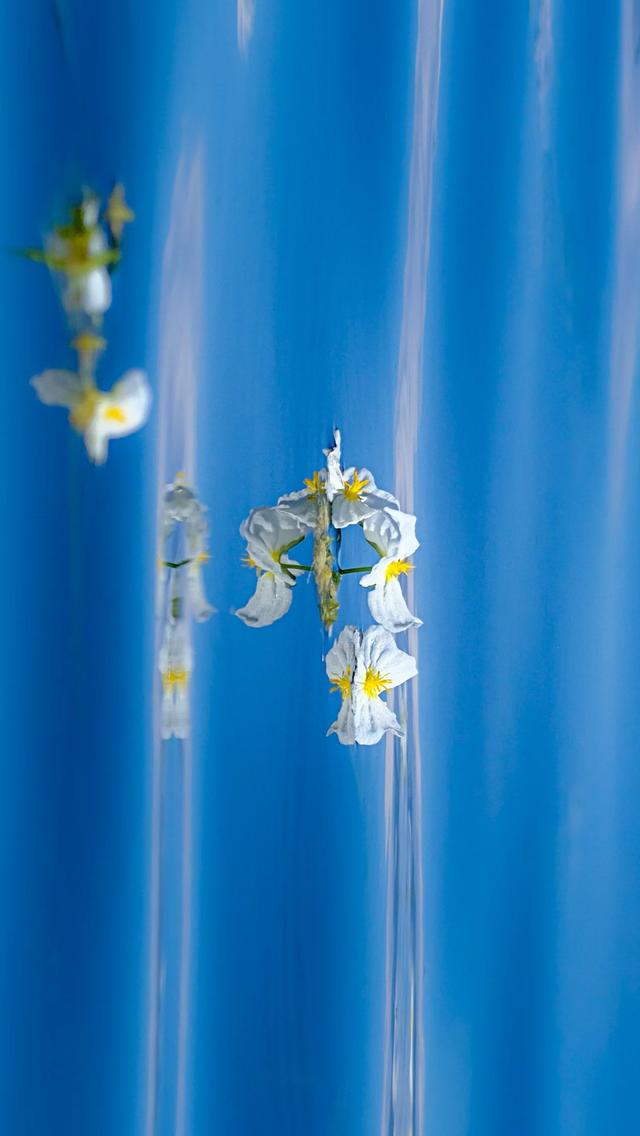 大理之蓝，蓝得让人心碎