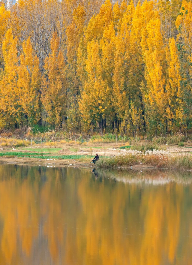 此刻的临沂，把清欢藏进风景里
