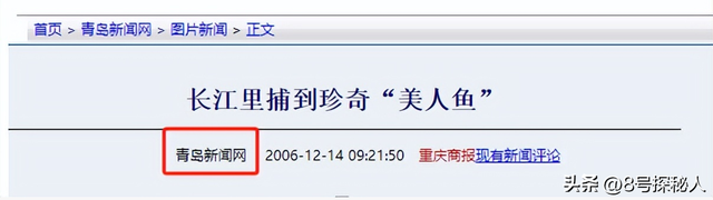 2006年长江惊现“美人鱼”，重庆渔民误捕一条，专家：出水必死