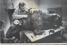 上古动物的肉什么味道？出于好奇，8位科学家吃了5万年前的野牛肉图片