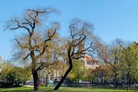 甲状腺癌手术全切后几天出院？多久开始工作？图片