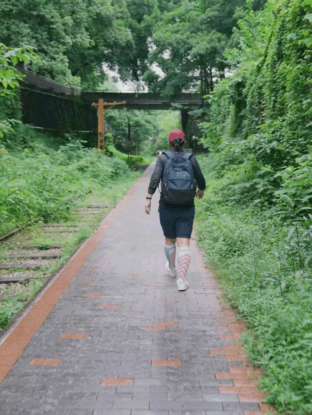 她把风靡全球的神作引入中国，被总统授予骑士勋章，好评如潮