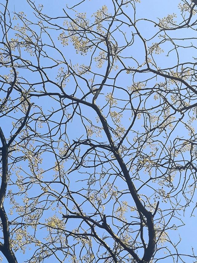 通过数字化转型 实现“聚沙成塔”