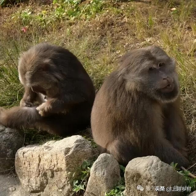 新年慢游计划｜去福建宝藏乡村浪漫跨年，给2026一个温柔的开始