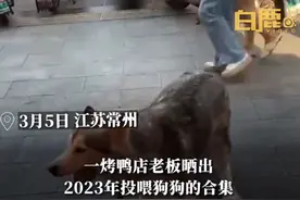 鸭屁股侠！鸭店老板连续1年留鸭屁股送流浪狗图片