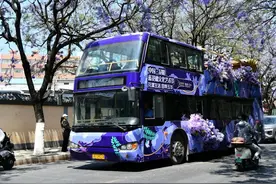 乘巴士逛昆明蓝花楹！这份攻略请查收→图片