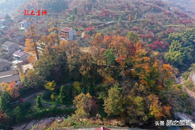 四明山脉的精华，四明山镇，全域皆风景