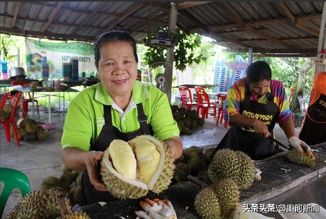 泰国大量水果腐烂，因为摊上的中文标语，中国游客：自己留着吧